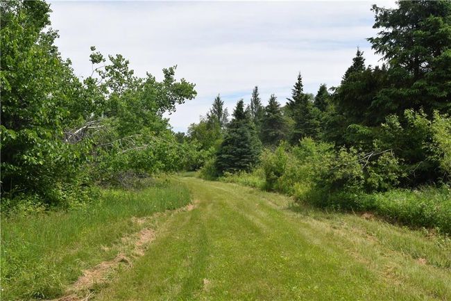 N9197 Fedyn Rd, House other with 4 bedrooms, 3 bathrooms and null parking in LADYSMITH WI | Image 29