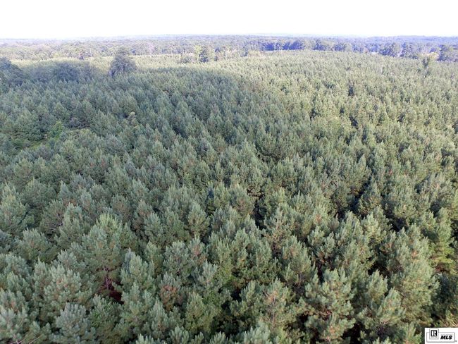 0 Tucker Store Rd, Home with 0 bedrooms, 0 bathrooms and null parking in Spearsville LA | Image 27