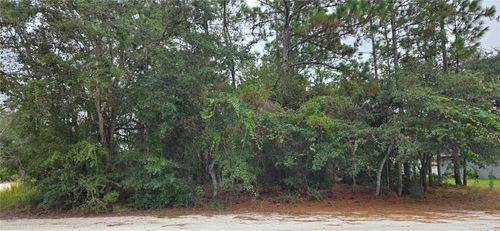 13476 Canada Goose Rd, BROOKSVILLE, FL, 34614-1965 | Card Image