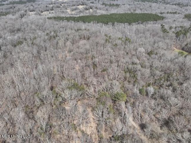 DJI_20250303122151_0014_V Medium | Image 17