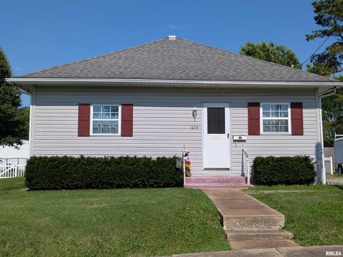 1205 Burgess Ave, Johnston City, IL, 62951-1738 | Card Image