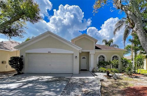 10310 Birdwatch Drive, TAMPA, FL, 33647 | Card Image