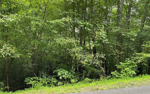 LOT 7 Bear Trail, Hiawassee, GA, 30546 | Card Image