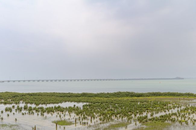 2 - 100 W Harbor, Condo with 2 bedrooms, 2 bathrooms and 1 parking in South Padre Island TX | Image 30