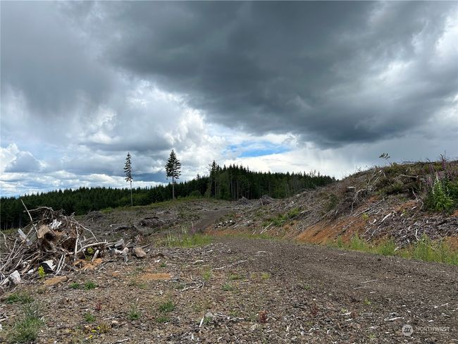 0 NKA 713 Road, Home with 0 bedrooms, 0 bathrooms and null parking in Castle Rock WA | Image 16