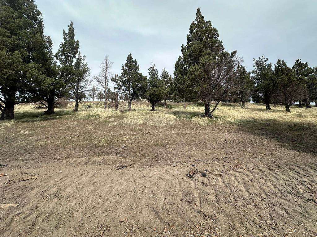 Land in Weed 5