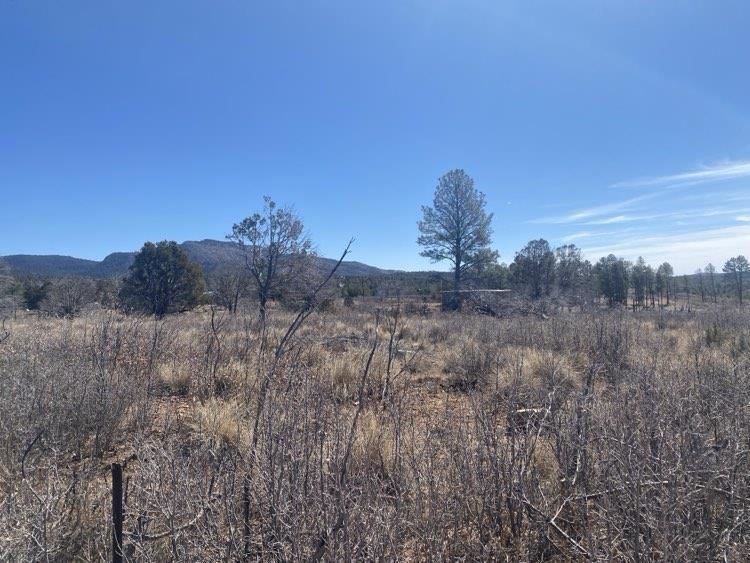 Land in Timberon 3