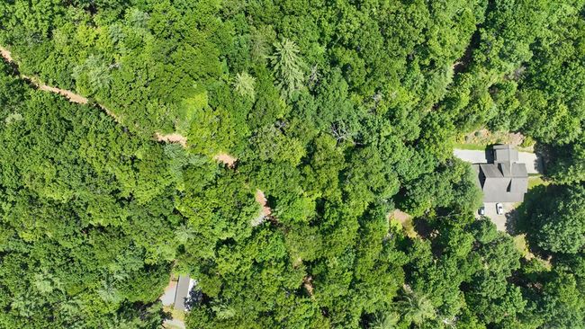 Lot 1 High Knee Rd, Home with 0 bedrooms, 0 bathrooms and null parking in Cherry Log GA | Image 9