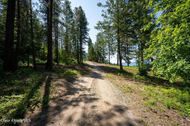 238 Black Sheep Rd, Home with 0 bedrooms, 0 bathrooms and null parking in Hope ID | Image 32