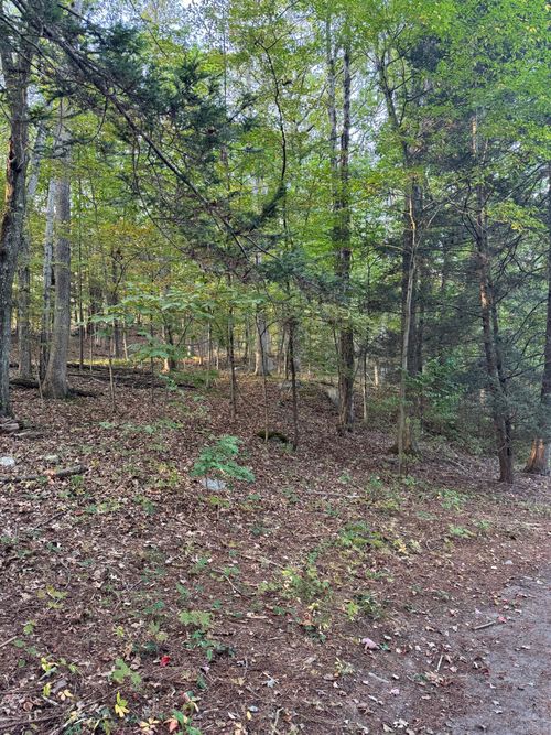 3 Rowledge Pond Rd, Monroe, CT, 06468 | Card Image