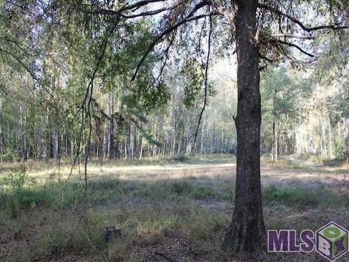 28545 Coker Vail Rd, Holden, LA, 70744-5325 | Card Image