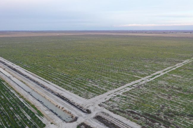 0 Road 56, Home with 0 bedrooms, 0 bathrooms and null parking in Alpaugh CA | Image 12