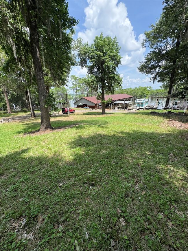 View of yard | Image 6