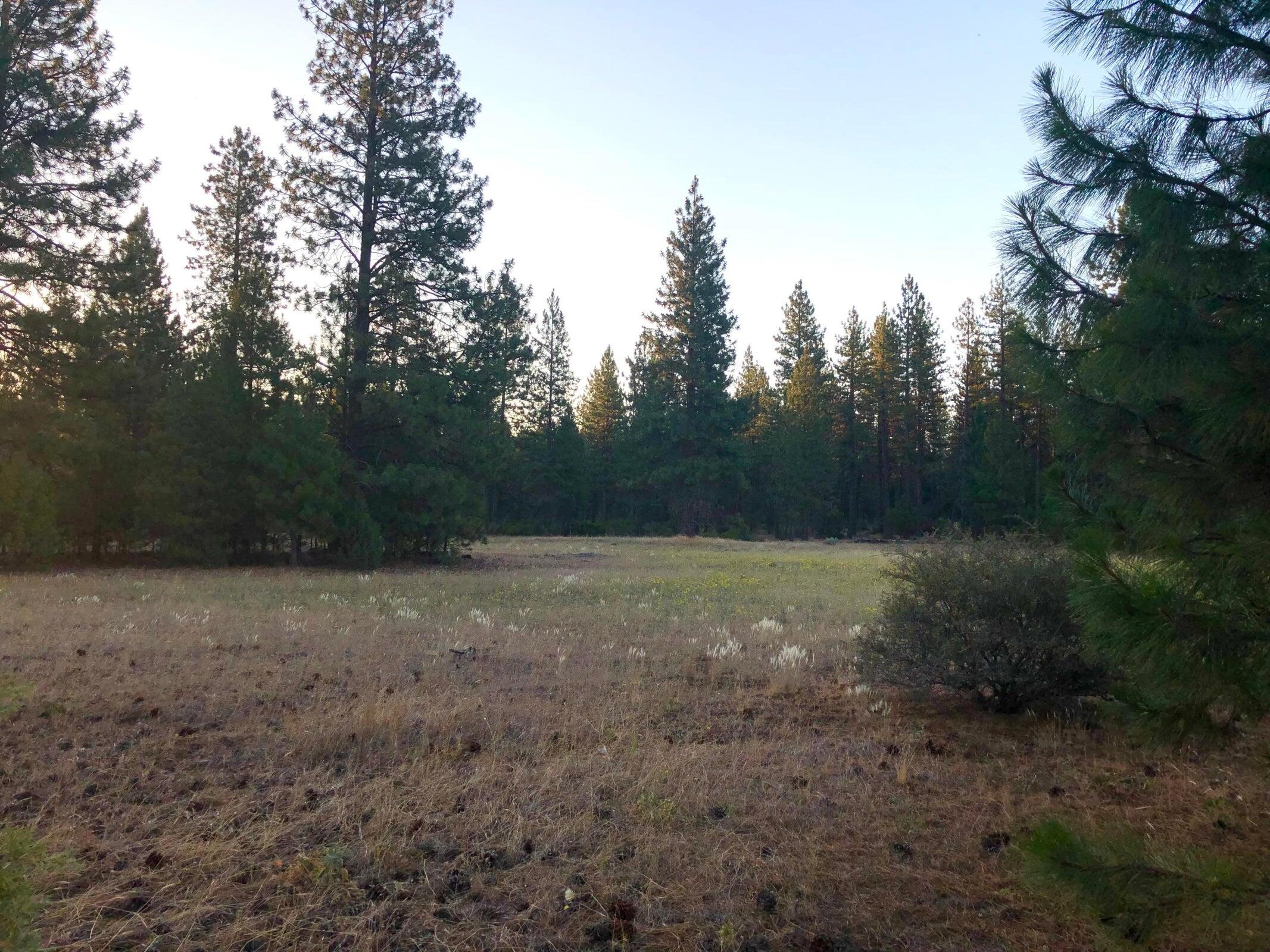 Land in Burney 3