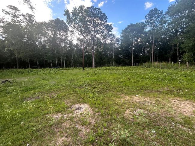 2 Judy Ln, Home with 0 bedrooms, 0 bathrooms and null parking in Shepherd TX | Image 5