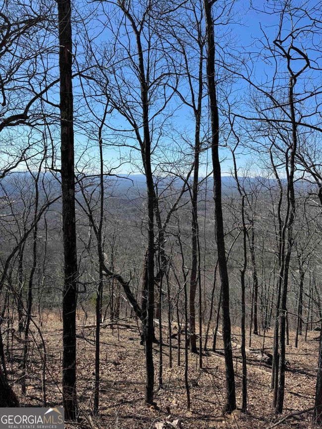 7349 Starlight Ln, Home with 0 bedrooms, 0 bathrooms and null parking in Jasper GA | Image 6