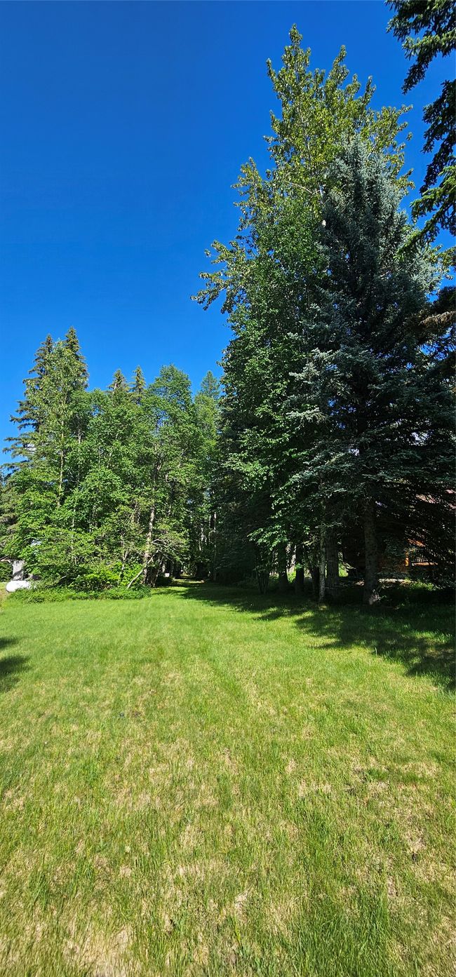 View of grassy yard | Image 27