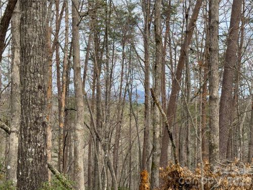 Lots 4-7 Carmel Ridge, Rutherfordton, NC, 28139 | Card Image