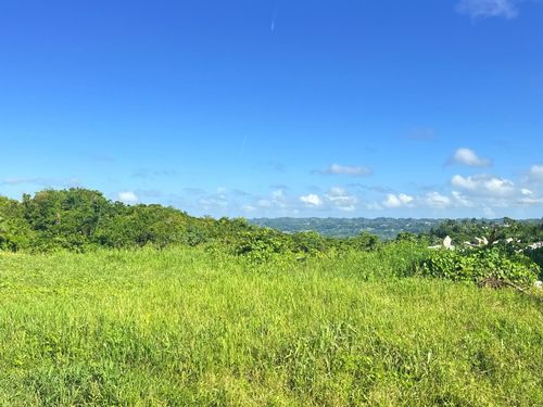 CARR 119 km 27.9 int Bo Hoyamala, San Sebastian, PR, 00685 | Card Image