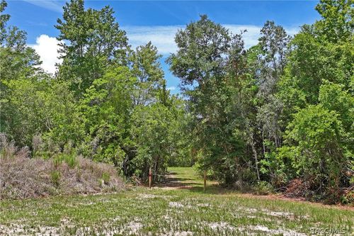 1020 N Mcgowan Ave, Crystal River, FL, 34429 | Card Image
