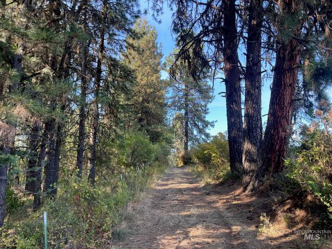 181 Harris Ridge Loop, House other with 3 bedrooms, 3 bathrooms and 2 parking in Kooskia ID | Image 7