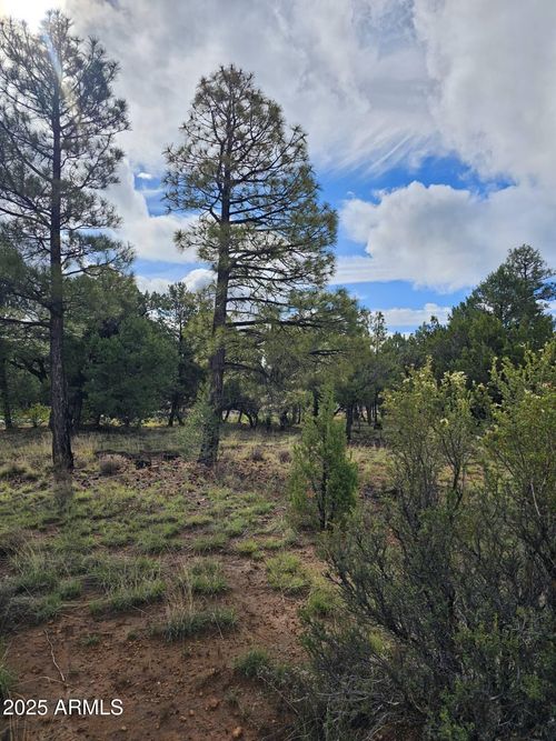 118-1454 Low Mountain Trl, Heber, AZ, 85928-9669 | Card Image