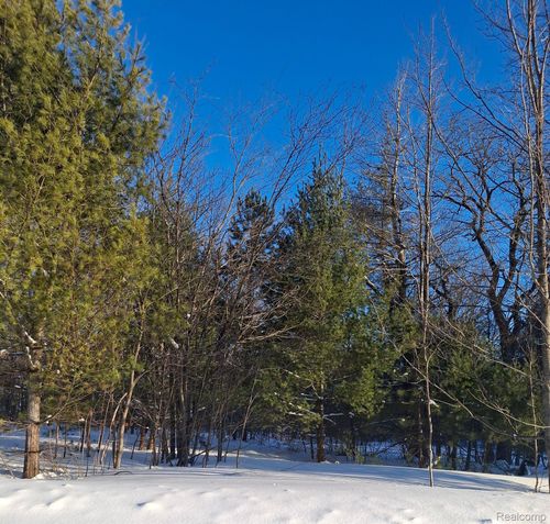 Lot 144 Willamont Circle Lot 144 Circle, Mancelona Township, MI, 49659 | Card Image