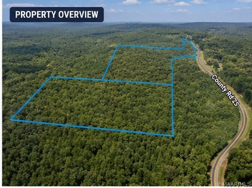 Land in Heflin 2