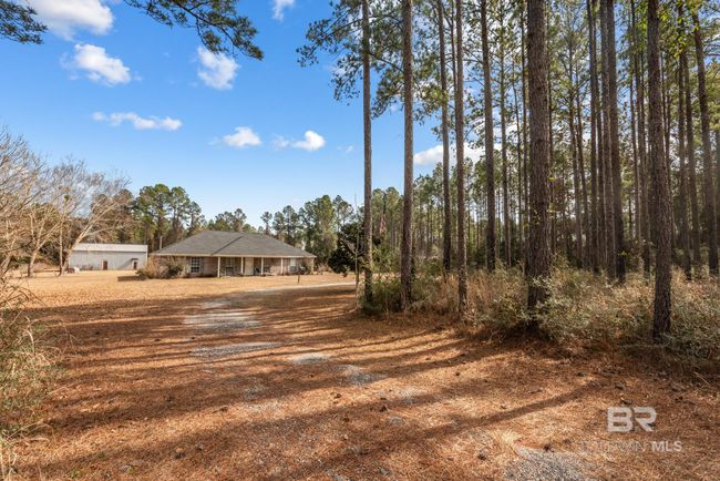 Yard | Image 35