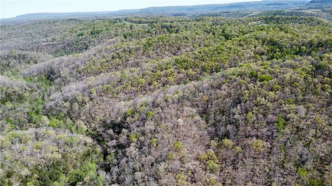 000 Holmes Rd, Home with 0 bedrooms, 0 bathrooms and null parking in Mountain View AR | Image 21