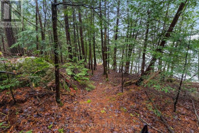 28084 Highway 41, House other with 5 bedrooms, 2 bathrooms and 5 parking in Renfrew ON | Image 42
