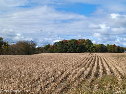 2 Blacks Corners Road, Imlay Twp, MI, 48444 | Card Image