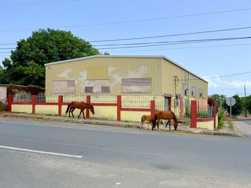 KM 1.6 Route 200, Vieques, PR, 00765 | Card Image