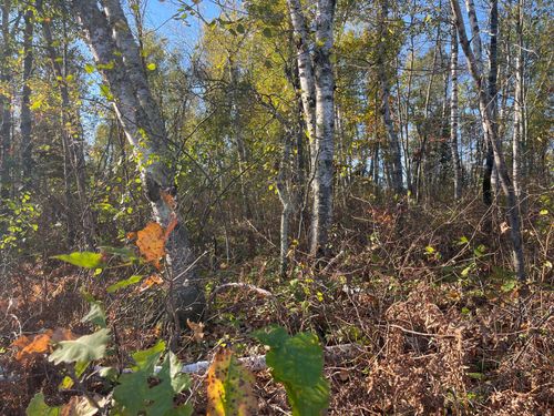 2 Oak Leaf Rd, Kerrick, MN, 55756 | Card Image