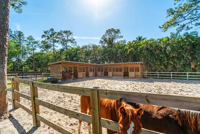 15201 Timberlane Pl, House other with 5 bedrooms, 4 bathrooms and null parking in LOXAHATCHEE FL | Image 26