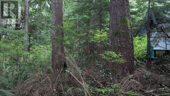 542E Larch St, Home with 0 bedrooms, 0 bathrooms and null parking in Alert Bay BC | Image 14