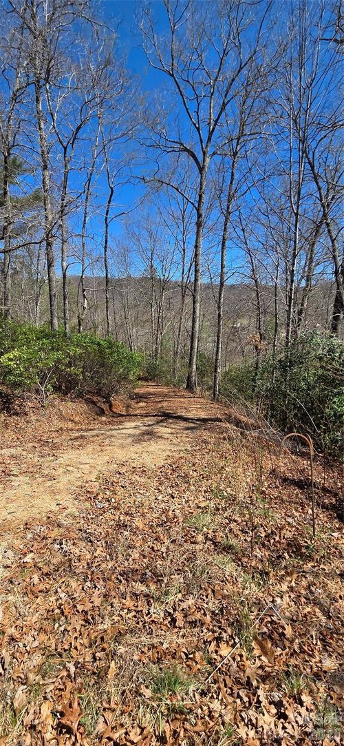 30and31-90 S Kimiko Ln, Balsam Grove, NC, 28708-9646 | Card Image