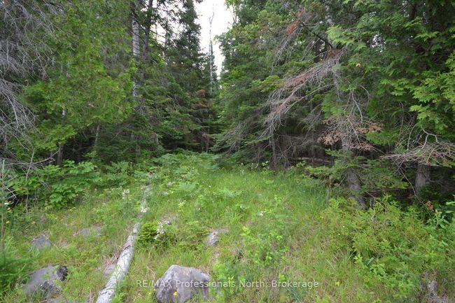 0 Harburn Rd, Home with 0 bedrooms, 0 bathrooms and null parking in Haliburton ON | Image 28