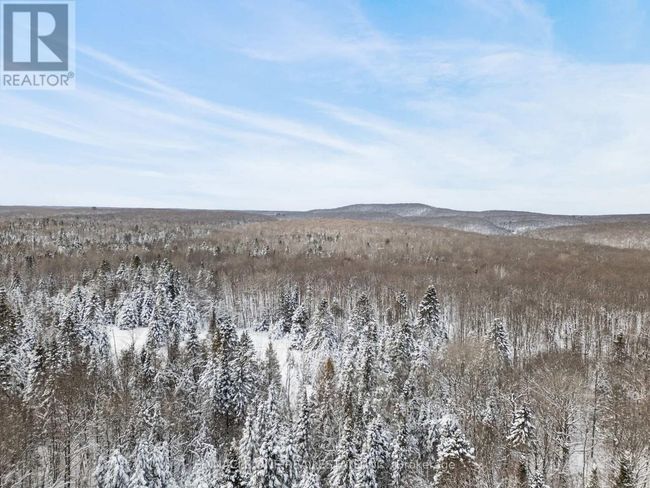 12626 County Rd 503 Road, Home with 0 bedrooms, 0 bathrooms and null parking in Highlands East (Monmouth) ON | Image 6