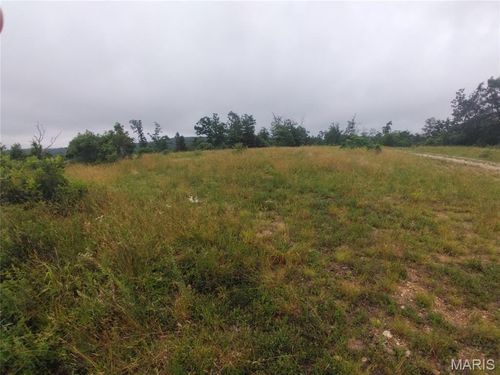 3 Tract 3 Off Highway O, Belleview, MO, 63623 | Card Image