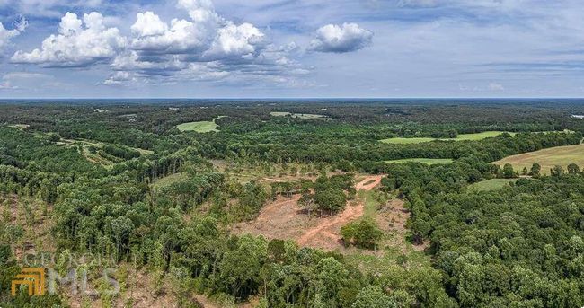 TRACT 2 Coldwater Creek Rd, Home with 0 bedrooms, 0 bathrooms and null parking in Dewy Rose GA | Image 17