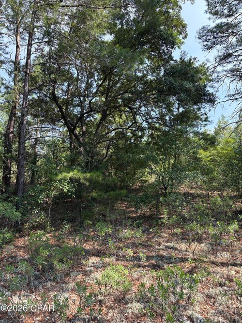 Lot 2 Dumajack Road, Chipley, FL, 32428 | Card Image