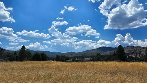 123 Smithneck Rd, Loyalton, CA, 96118 | Card Image