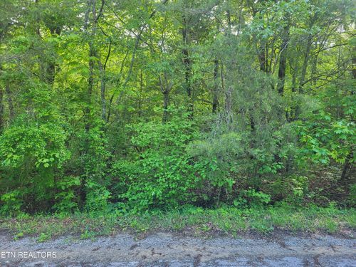 149 Tawny Oak Loop, Crossville, TN, 38558-6985 | Card Image