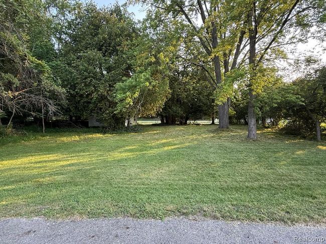 spacious lot.jpg | Image 4