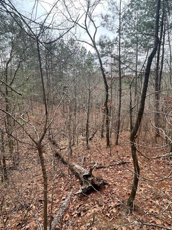 Land in Broken Bow 3