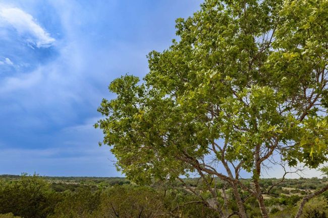 1355 Private Road 3440, Home with 0 bedrooms, 0 bathrooms and null parking in Kempner TX | Image 30