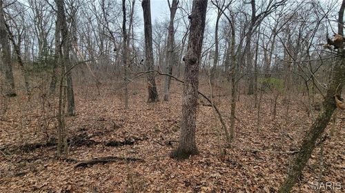 2 Valley Farm Lane, Warrenton, MO, 63383 | Card Image