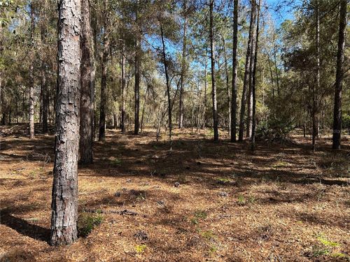 Lot 23 Sw 181st Cir, DUNNELLON, FL, 34432 | Card Image