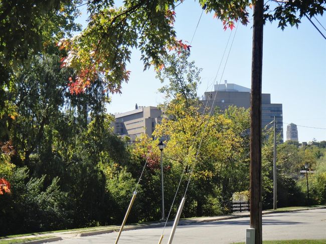 APT-101 - 1249 Island Dr, Condo with 2 bedrooms, 1 bathrooms and null parking in Ann Arbor MI | Image 20